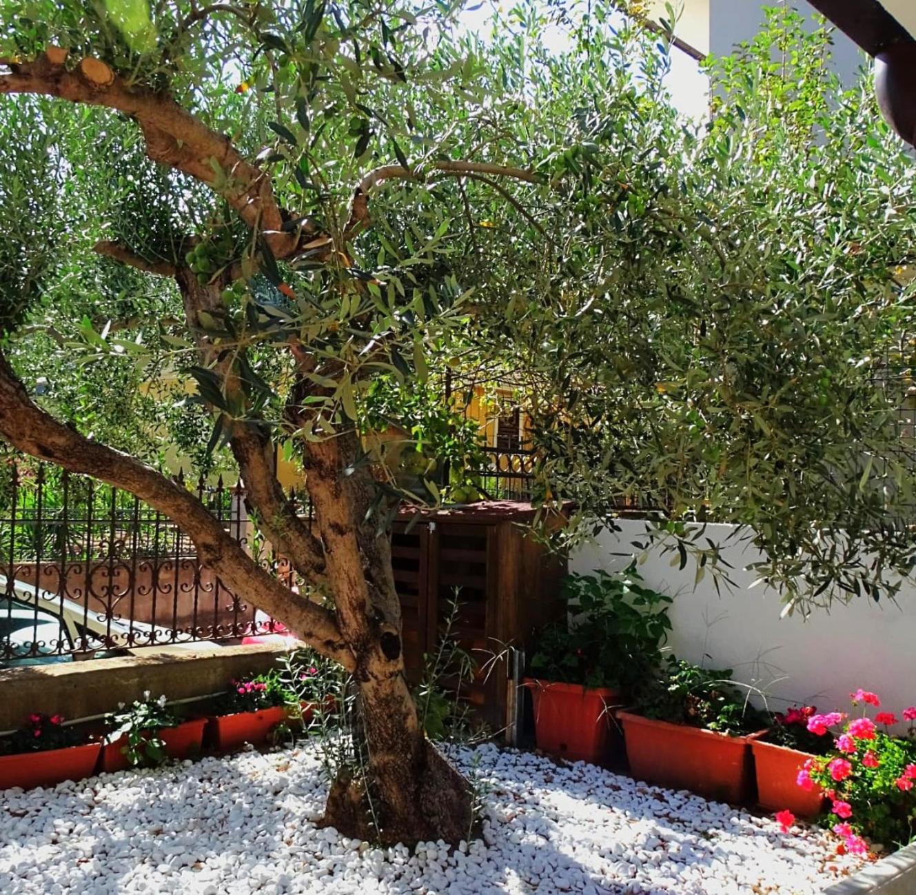 Le Sorgenti Guest House Ilbono Eksteriør billede